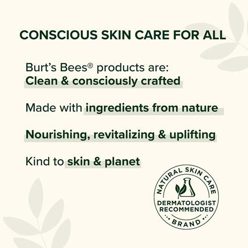 Burts Bees Lip Balm Gift Set, Beeswax Bounty Fruit Mix, Perfect Lip Balms For Gift Baskets, 4-Pack, 0.15 Oz.
