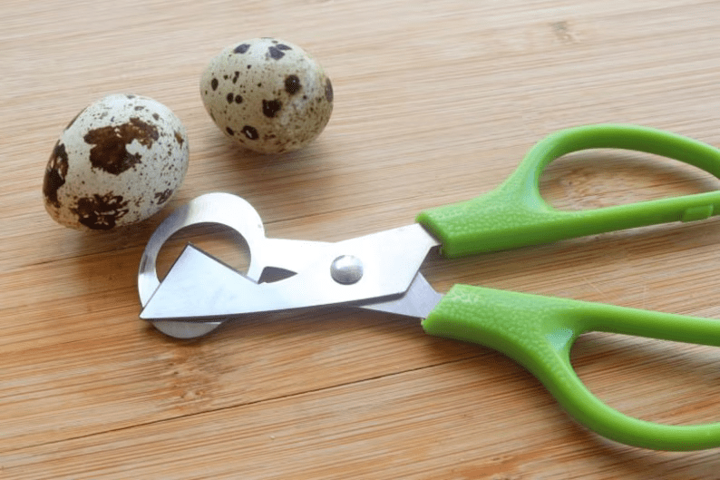 4 Dozen Farm Fresh n Tasty Organic Jumbo Quail Eggs