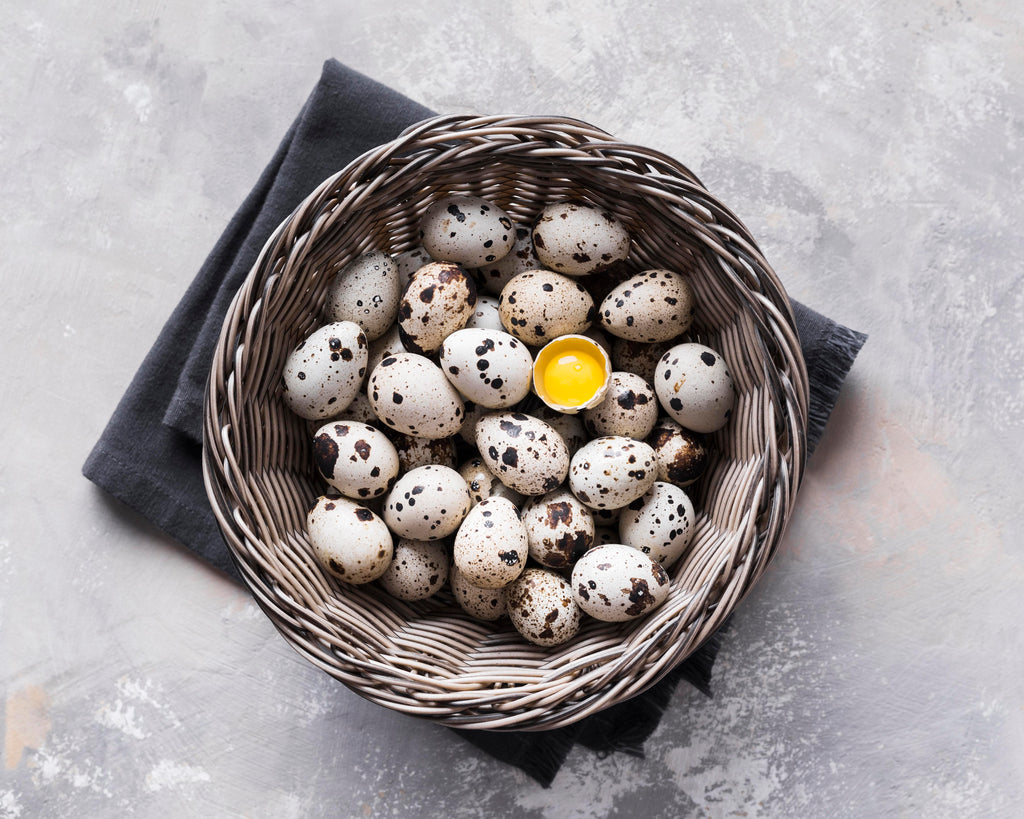 4 Dozen Farm Fresh n Tasty Organic Jumbo Quail Eggs