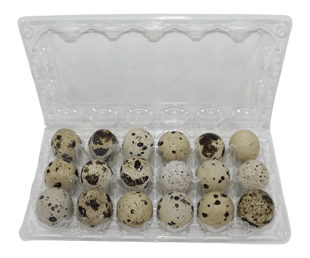 18-cell Extra-Large Jumbo Quail/Pigeon Egg Cartons (3x6)